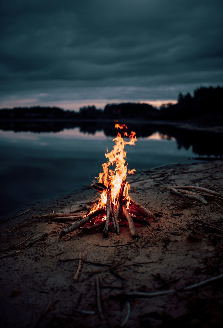 Bonefire near water on a beach